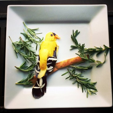 Bird food art by Harley Langberg
