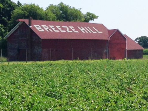 Breeze Hill