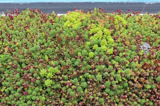 Garden as Art tour.  Photo credit: Kelly Laffey