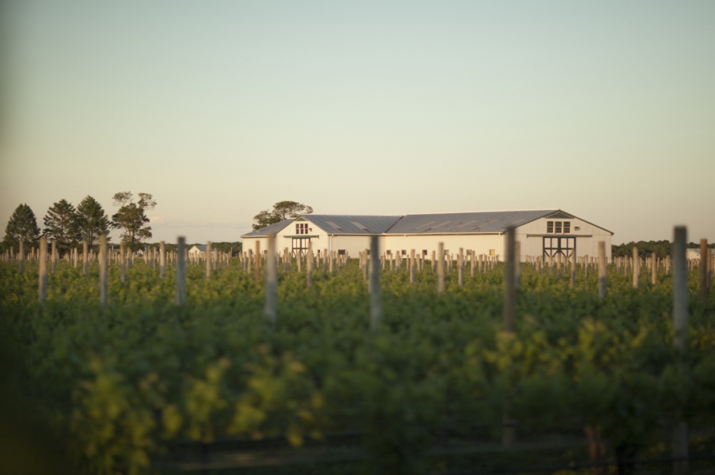 Wine Country Wonderland   Jamesport/Riverhead  $25,000,000