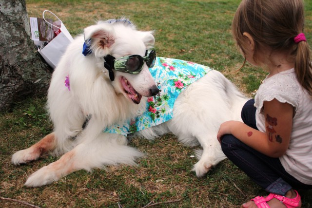 Yappy First Prize Parker