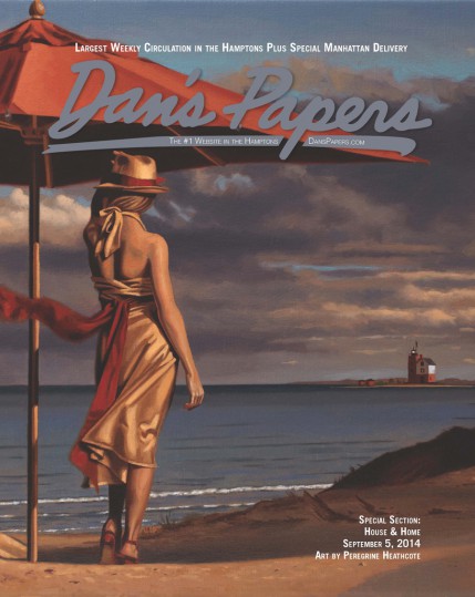 Dan's Papers cover by Peregine Heathcote