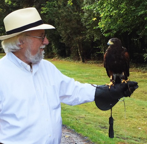 Dan the falconer