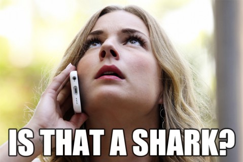 Emily Shark Meme Revenge