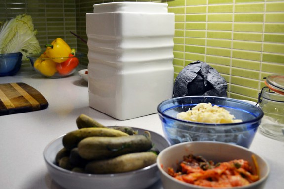 The Fermentium food fermenter