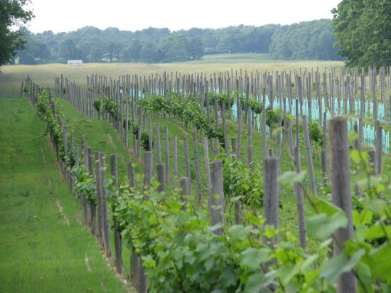Inside the Hidden Vineyard residence.