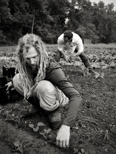 The harvesting crowd at Plant & Sing