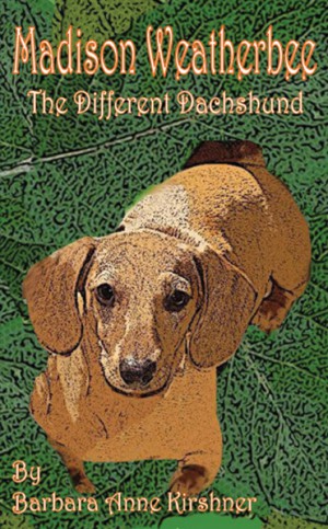 Madison Weatherbee–The Different Dachshund cover