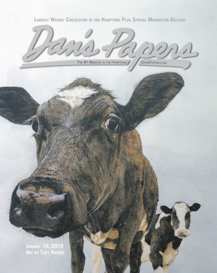 Dan's Papers cover by Toby Haynes