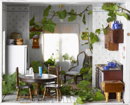 Beware English ivy. Photo credit: Jeffrey Hamilton/Creative Vision/Thinkstock