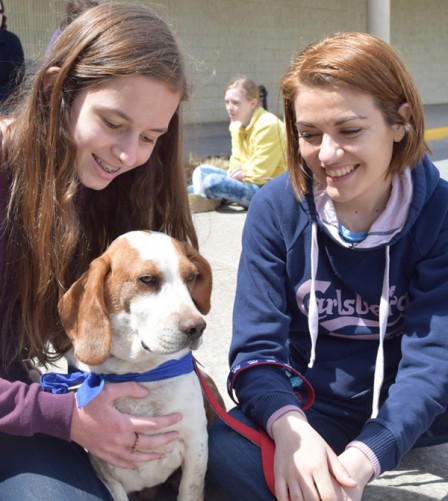 Last Chance Animal Rescue adoption event