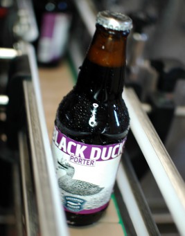 Greenport Harbor's new Black Duck Porter