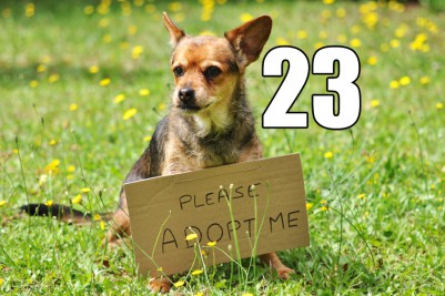 Photo credit: Sarah Dusautoir/iStock/Thinkstock