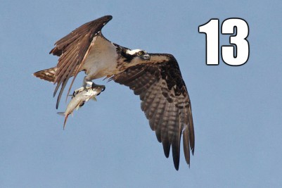 Take a Hike Through Quogue Wildlife Refuge