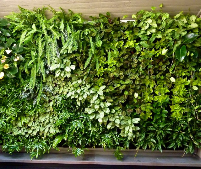 Verical Garden