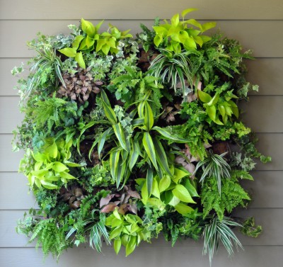 vertical garden