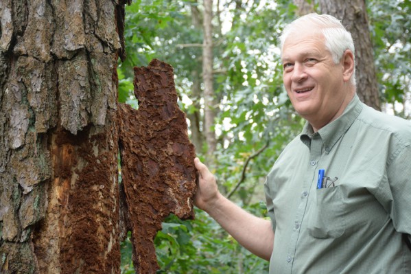 New York State Assemblyman Steve Englebright