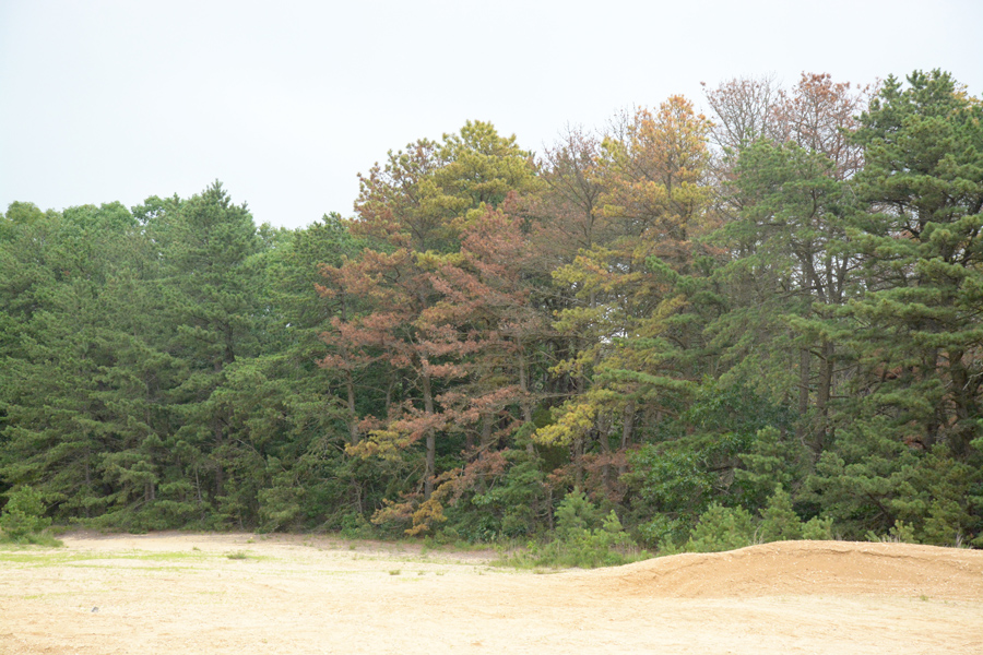 Photo credit:  Jessica Opatich