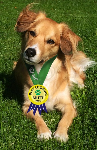 And The Winner Is! (2)