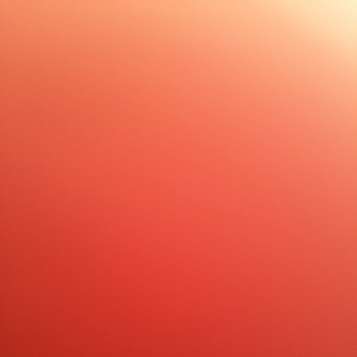 Dan Rattiner's failed selfie at Second House in Montauk