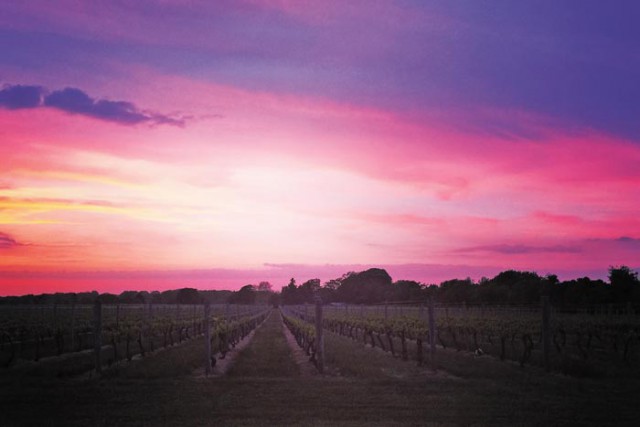 Another epic Hamptons sunset at Wolffer Estate Winery