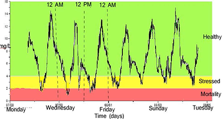 0deb0783-b835-4d5b-94e1-2d247b9fad9e