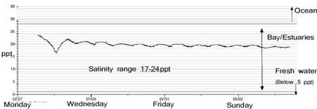 3a2b768b-fa9a-482d-9714-94b9c3297145