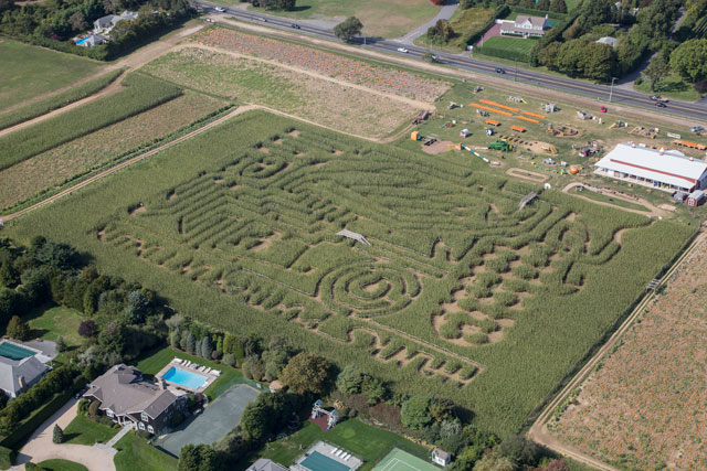 Hank's Pumpkintown. Cully/EEFAS