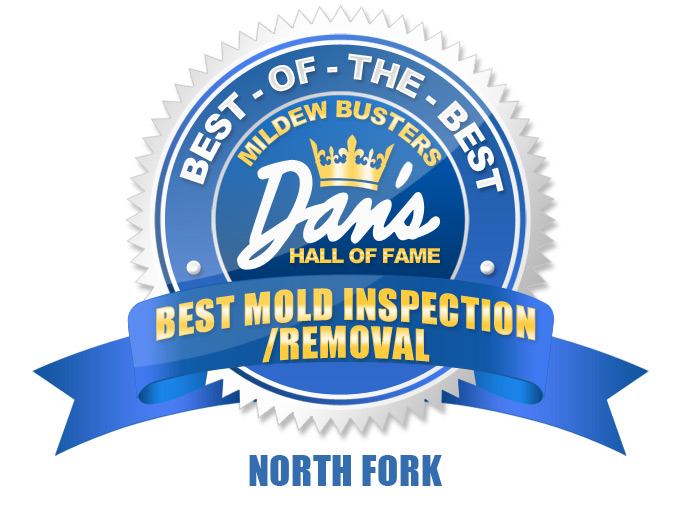 Mildew Busters Hall of Fame Best of the Best