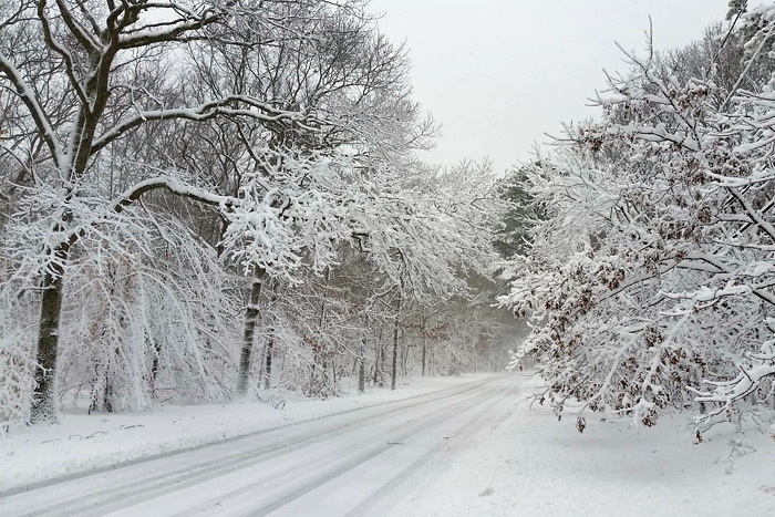 East Hampton Town snow beauty shot