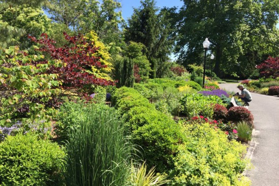 Perennial garden