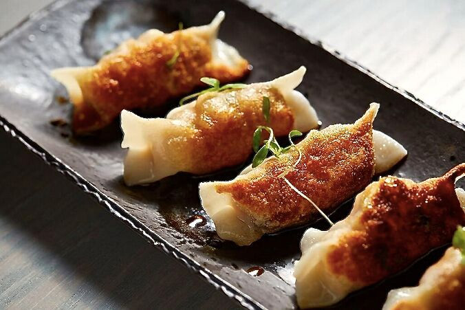 Jue Lan Club Pan Fried Pork and Chive Dumplings