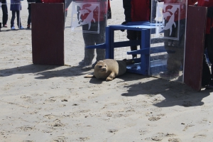 Riverhead Foundation Seal Release