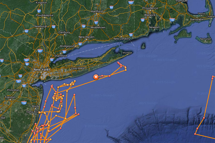 OCEARCH tracking map of Mary Lee the great white shark