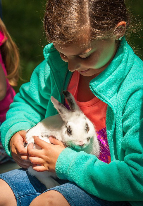 Bunny love at Benner’s Farm
