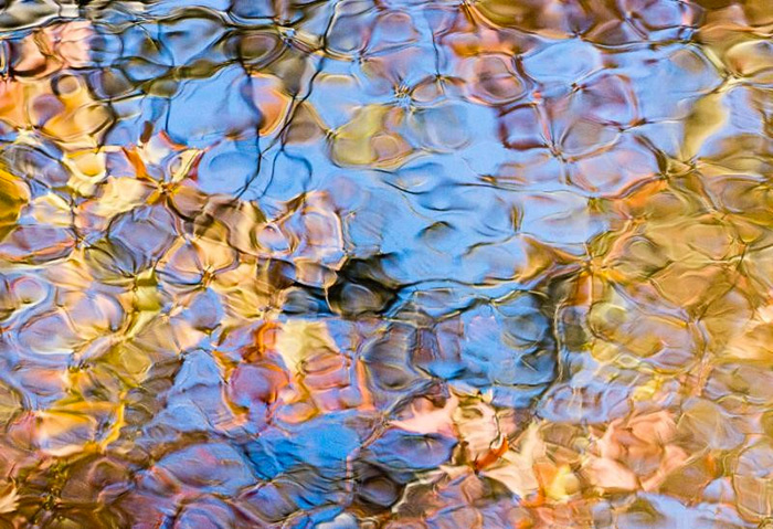 Art by Katherine Liepe-Levinson at The White Room Gallery