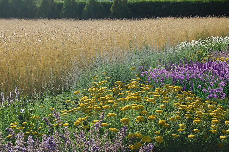 Create a sustainable Hamptons garden!