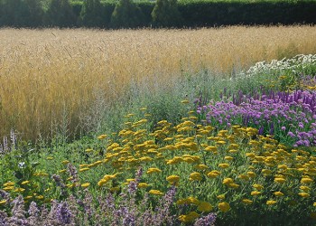 Create a sustainable Hamptons garden!