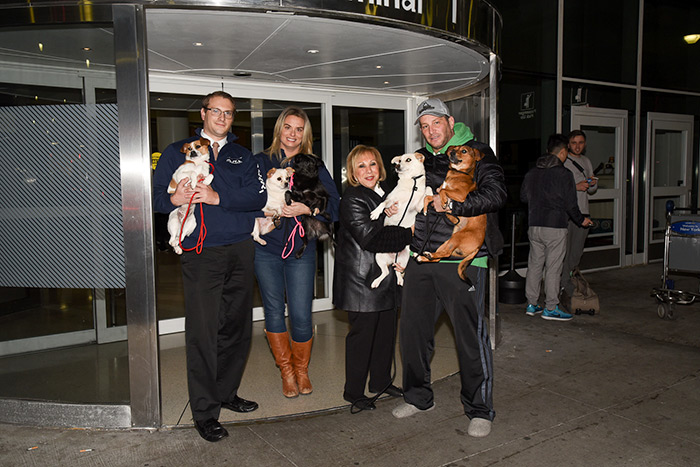 Southampton Animal Shelter team picks up the pups at the airport!