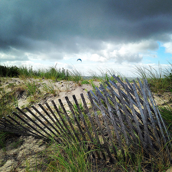 "Silver Blue Linings" by Dawn Watson