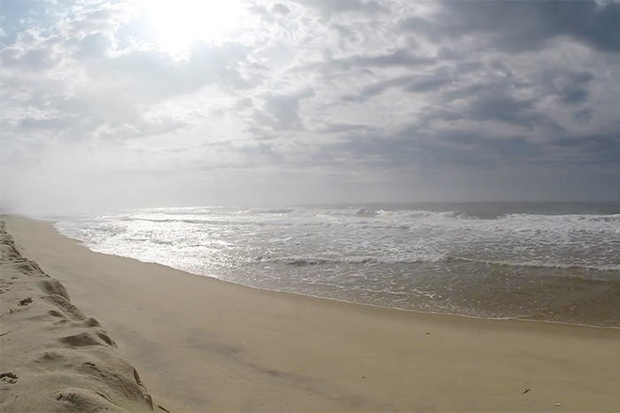 Montauk Beach Yule Log