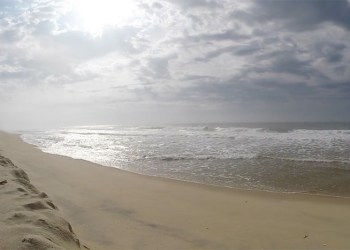 Montauk Beach Yule Log