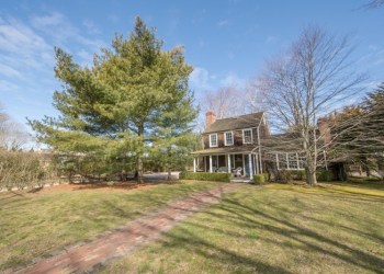 Courtesy Behind the Hedges