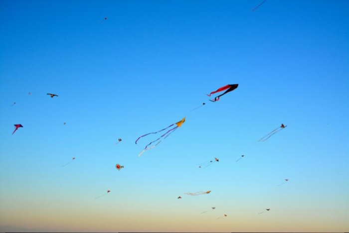 Kites in flight!