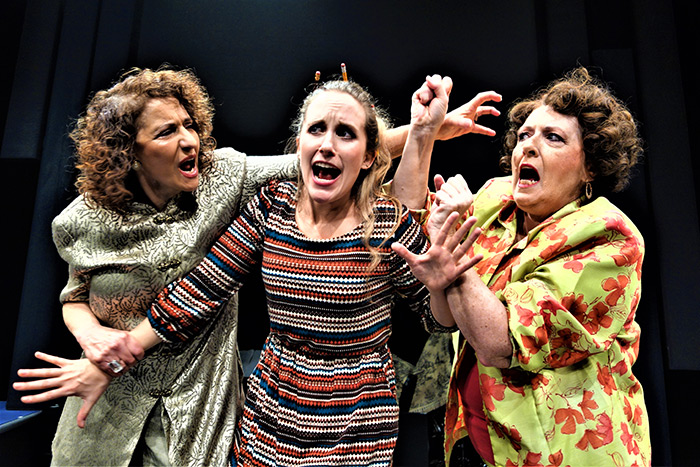 Phyllis March, Jessica Contino and Mary Ellin Kurtz in Theatre Three's "Where There’$ a Will"