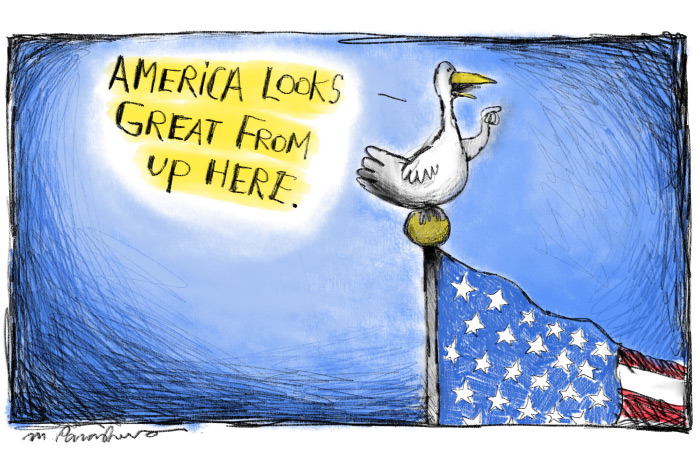 American flag cartoon by Mickey Paraskevas