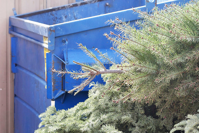 Dump your Christmas tree properly in the Hamptons!