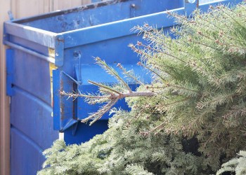 Dump your Christmas tree properly in the Hamptons!