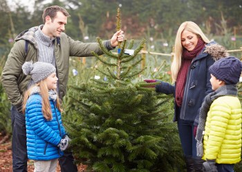 Find your Christmas tree on the East End!