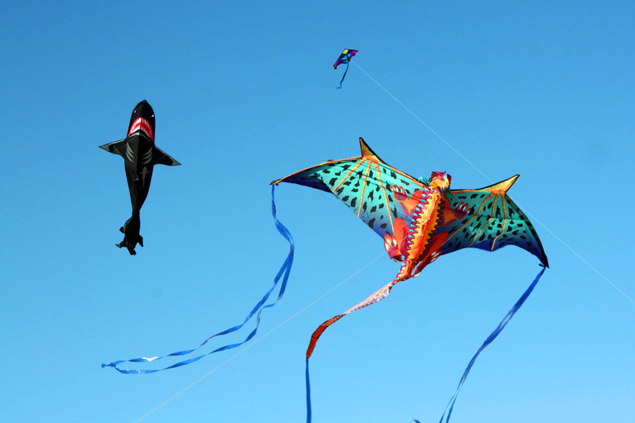 Kites at Dan's Kite Fly